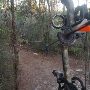 Meet your Posher, Victor